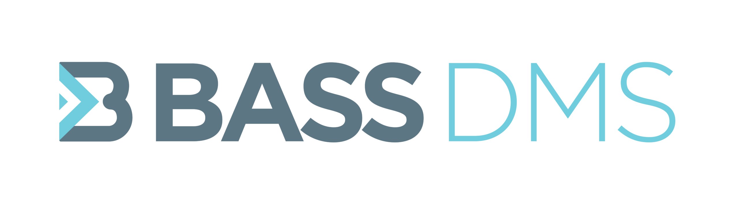 www.bassdms.eu